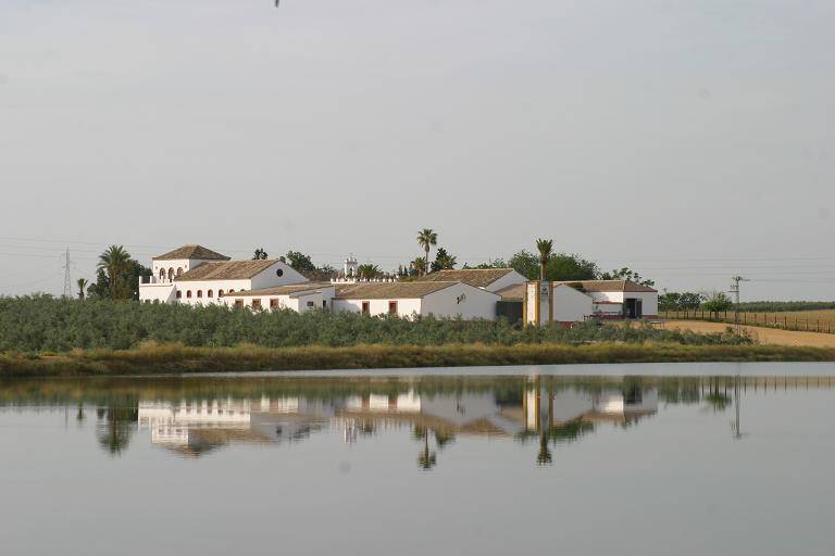 Cortijo El Chamorro